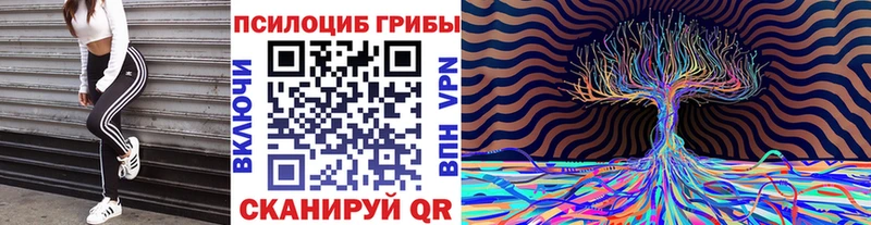 маркетплейс как зайти  Тихорецк  Галлюциногенные грибы Cubensis  кракен ссылки 