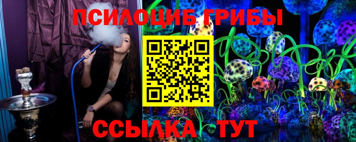 Псилоцибиновые грибы Psilocybe Тихорецк