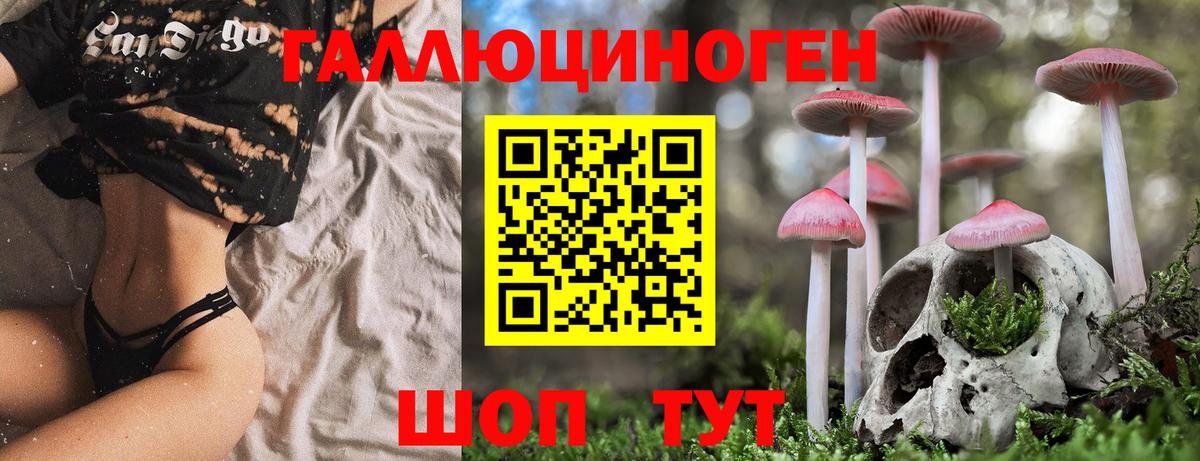 Тихорецк  Псилоцибиновые грибы мухоморы  Вход с VPN 