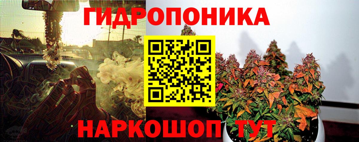 Бошки Шишки сатива  Марихуана LSD WEED  Вход с VPN  Тихорецк  Бошки Шишки AK-47 